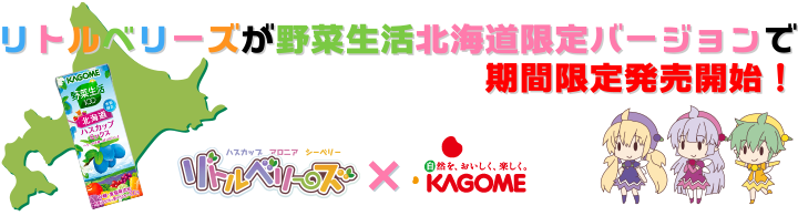 北海道限定野菜生活パッケージ