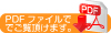 PDFファイルでご覧頂けます。
